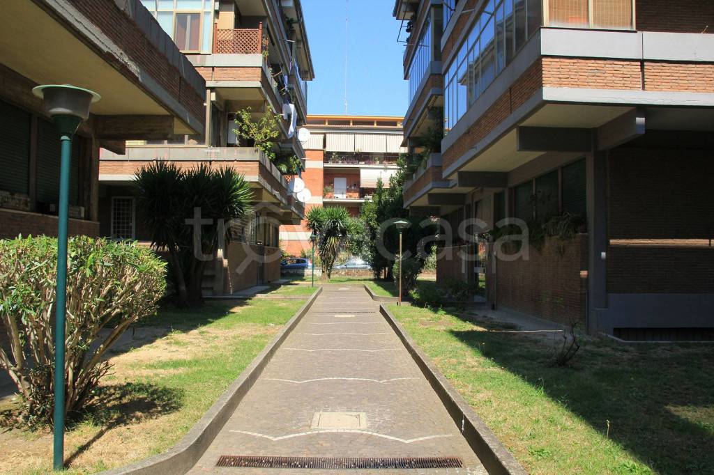 immagine annuncio 12 di 13