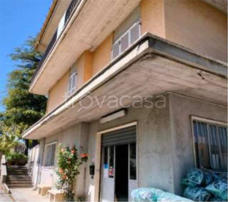 immagine annuncio 8 di 12