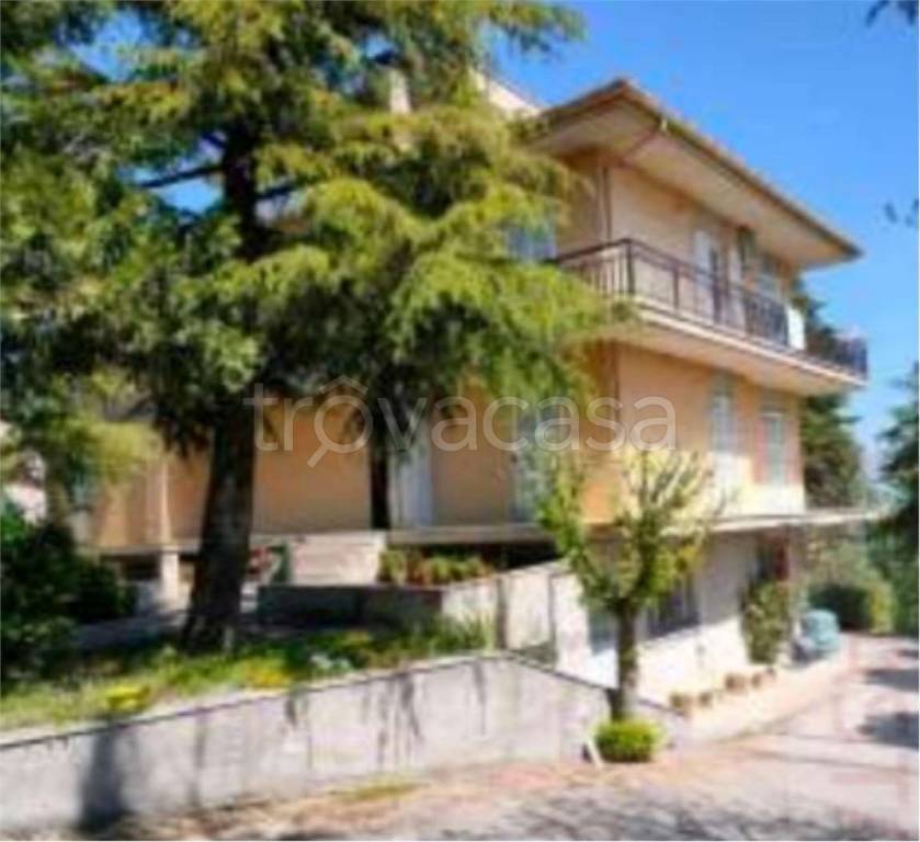 immagine annuncio 9 di 12