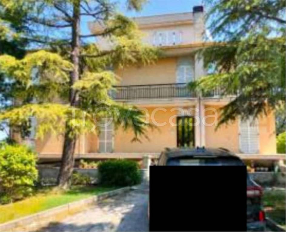 immagine annuncio 11 di 12