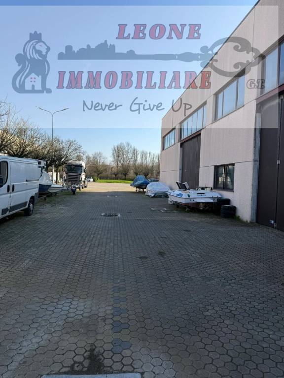 immagine annuncio 3 di 15