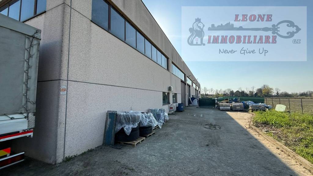 immagine annuncio 10 di 15