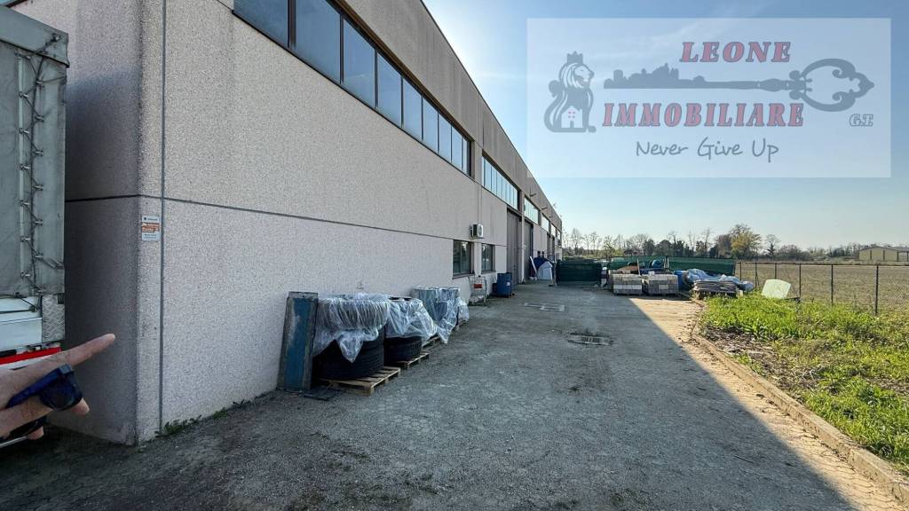 immagine annuncio 11 di 15