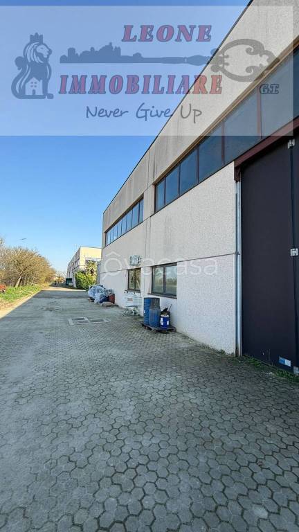 immagine annuncio 13 di 15