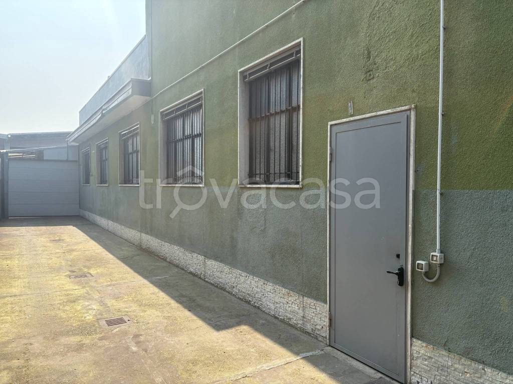 immagine annuncio 9 di 15