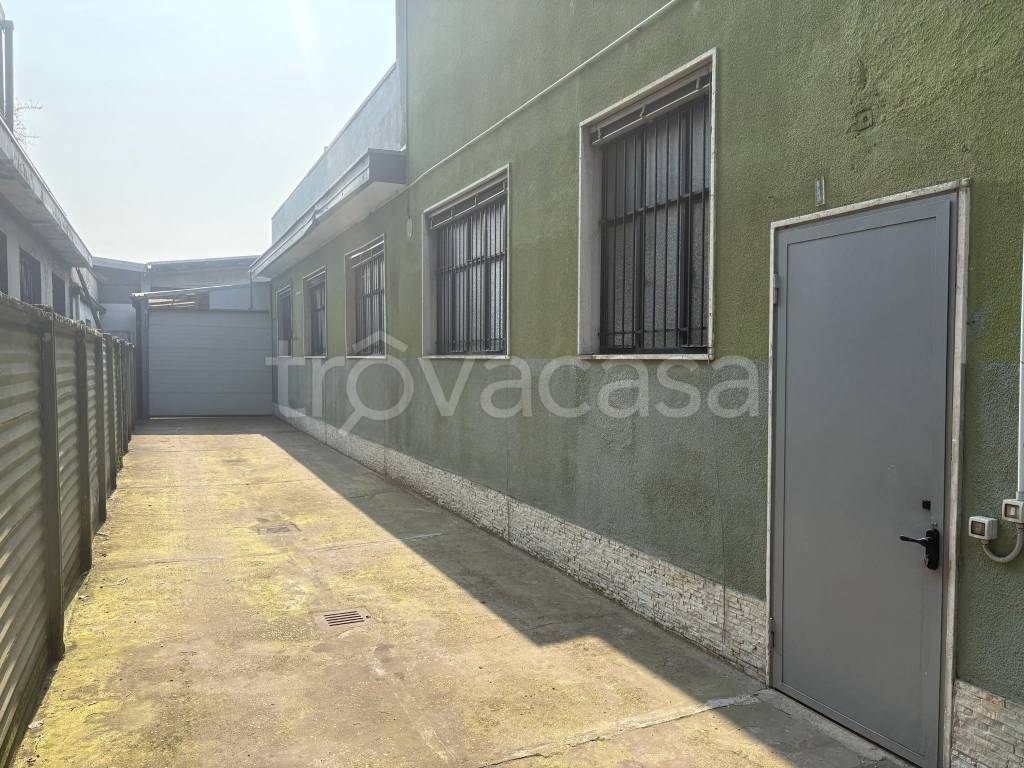 immagine annuncio 11 di 15