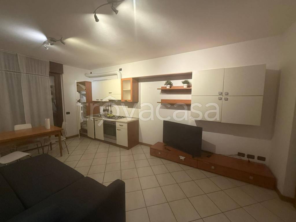 immagine annuncio 4 di 12