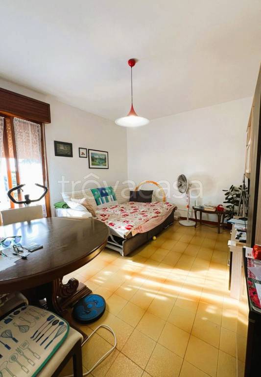 immagine annuncio 5 di 9