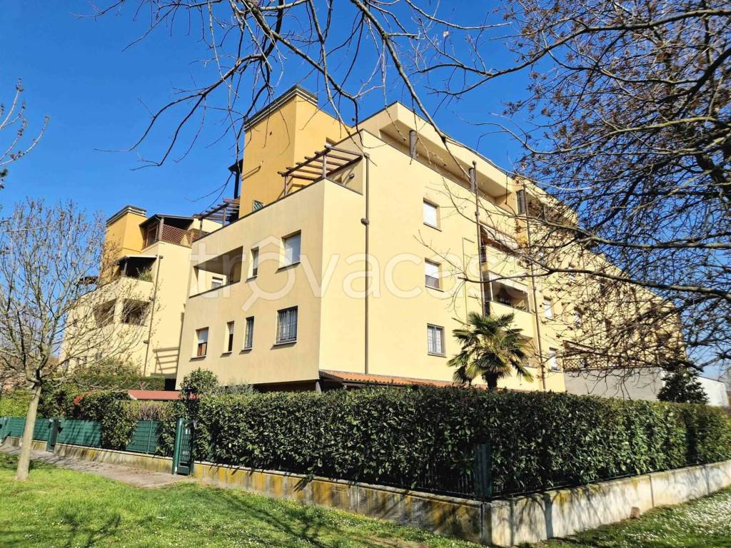 immagine annuncio 3 di 15