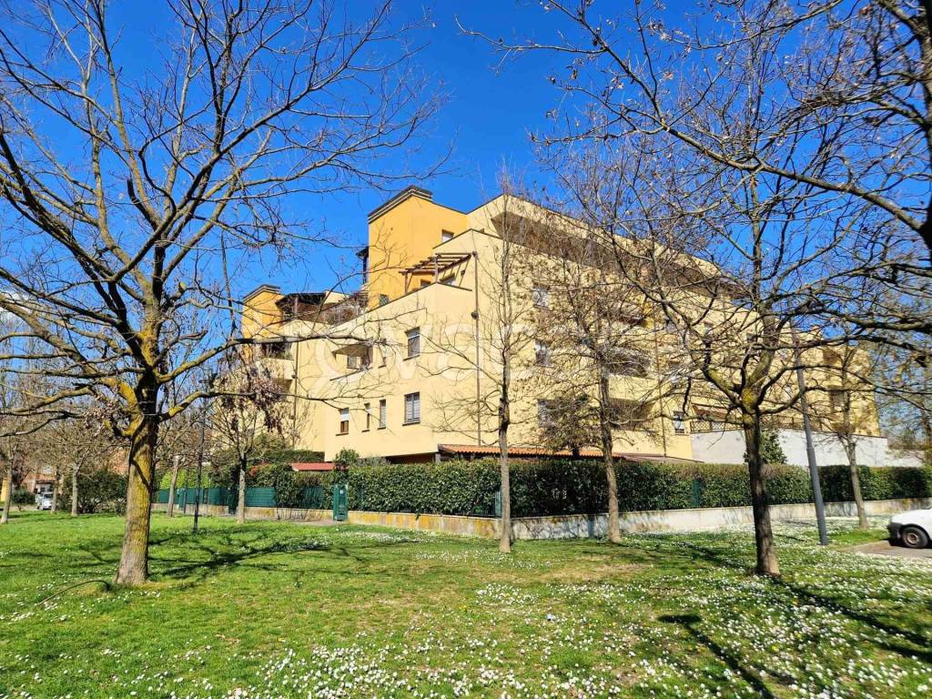 immagine annuncio 7 di 15