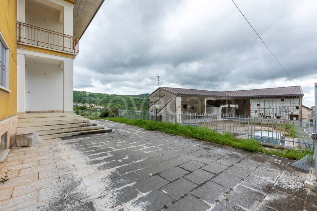 immagine annuncio 1 di 12