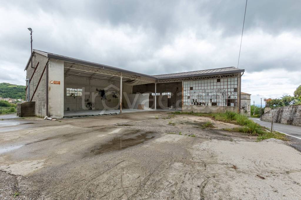 immagine annuncio 7 di 12