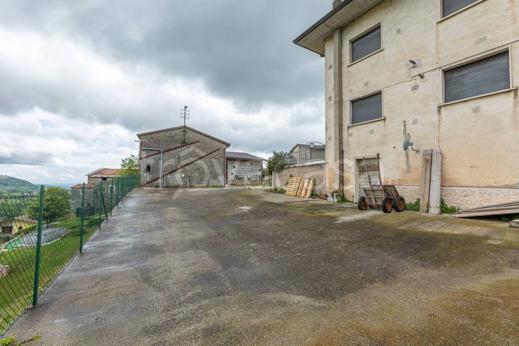 immagine annuncio 8 di 12