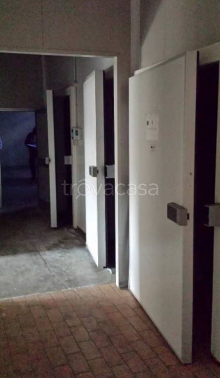 immagine annuncio 6 di 12