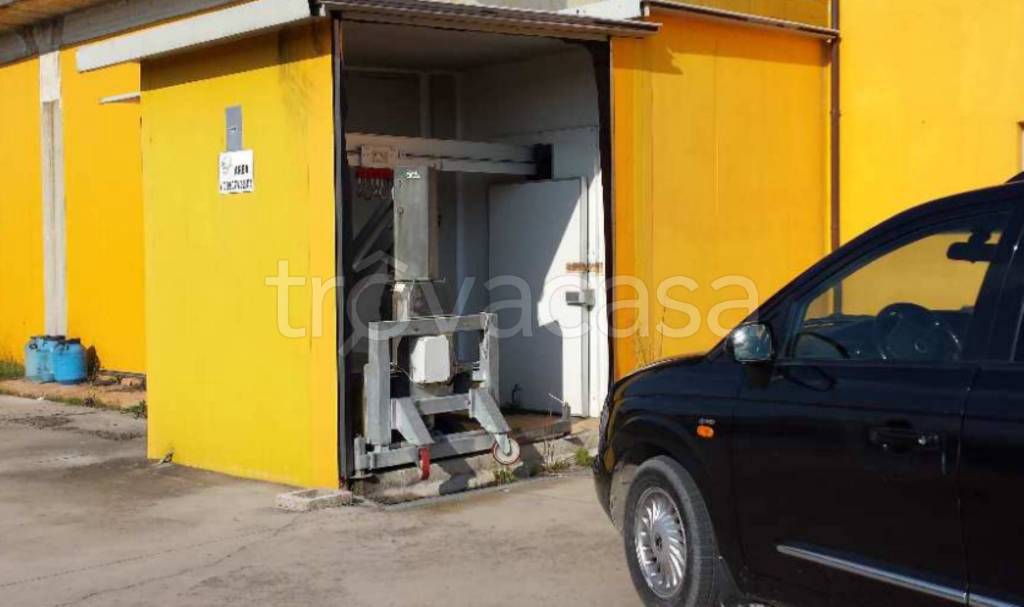 immagine annuncio 2 di 12