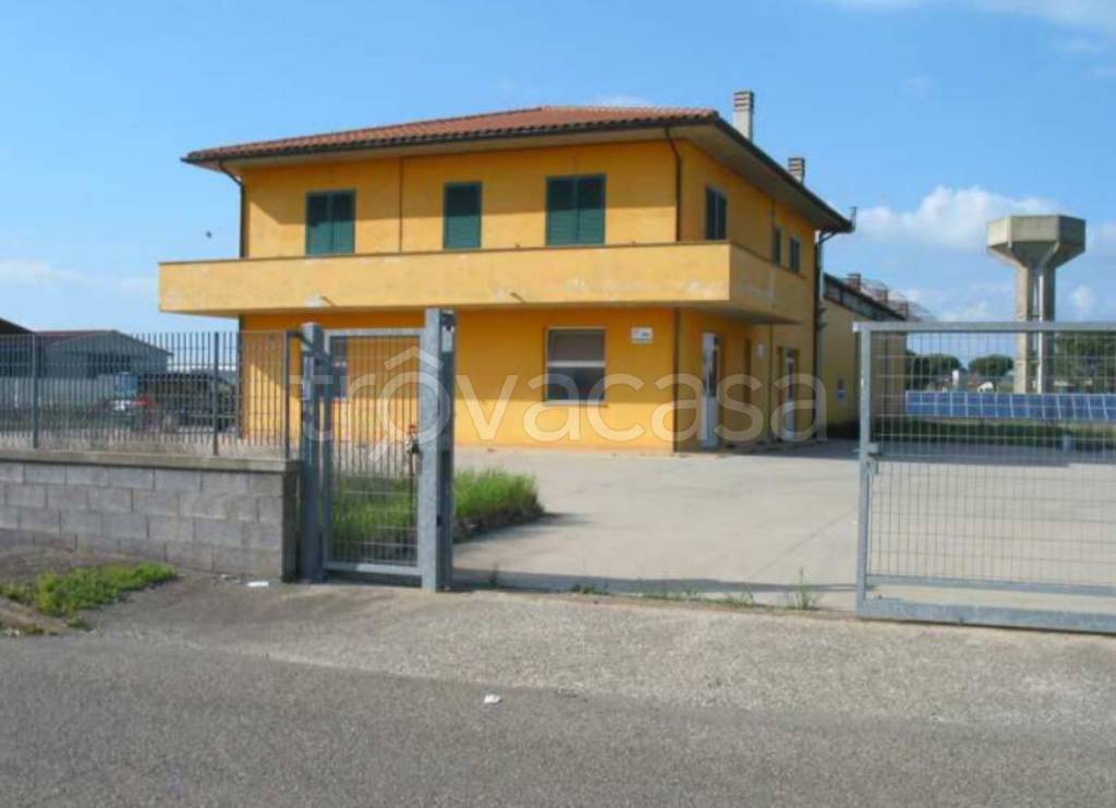 immagine annuncio 4 di 12