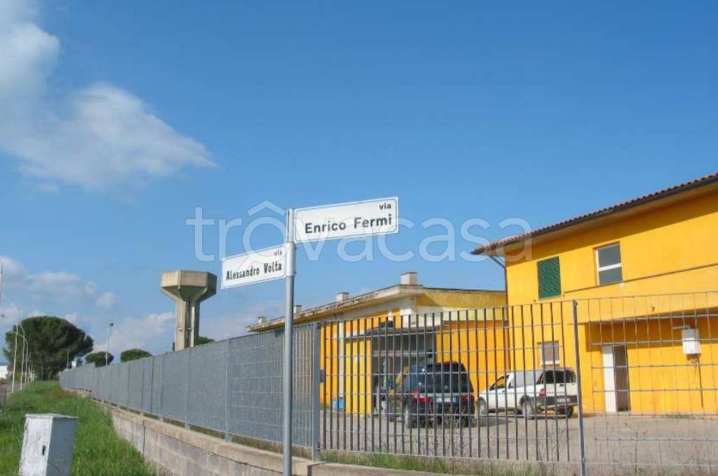 immagine annuncio 7 di 12