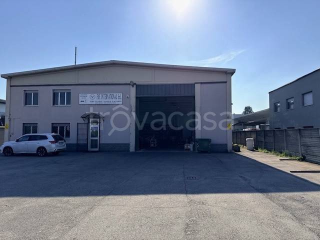 immagine annuncio 2 di 15