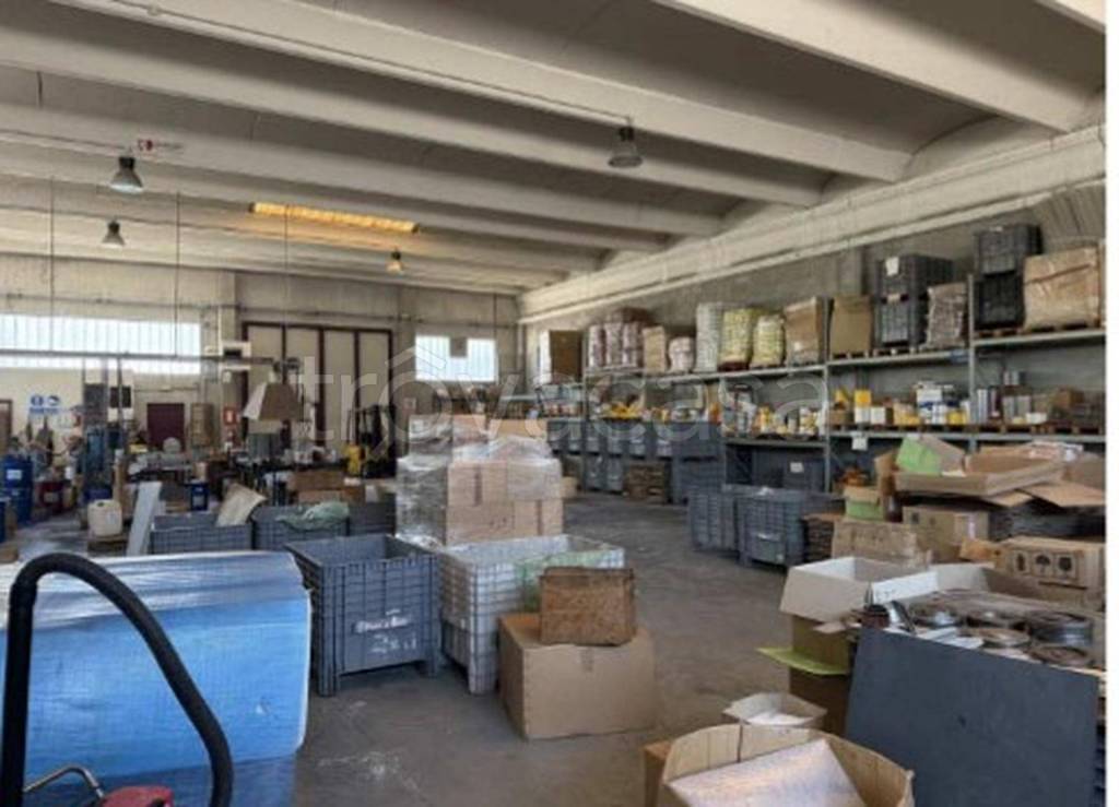 immagine annuncio 1 di 12