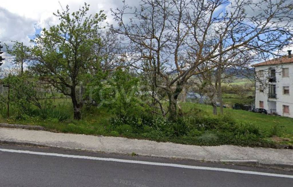 immagine annuncio 2 di 11