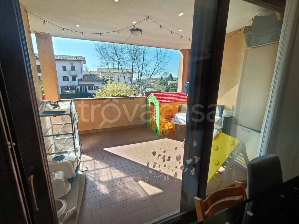 immagine annuncio 9 di 15