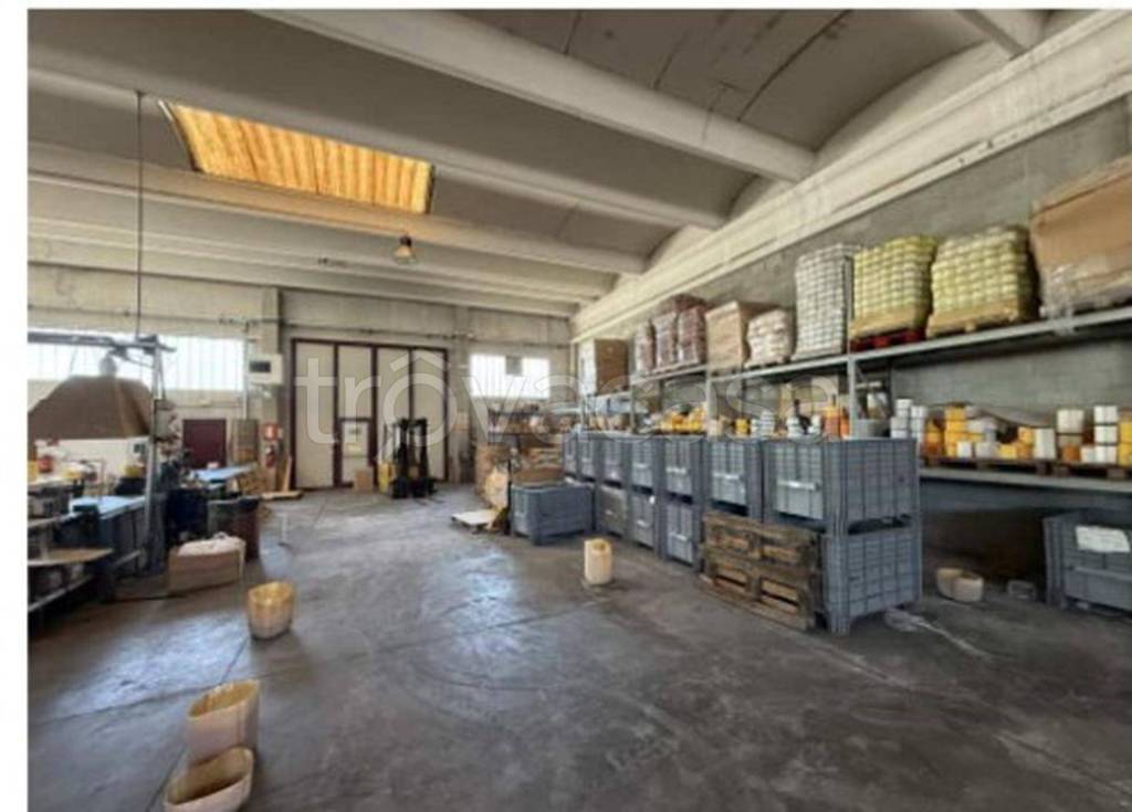 immagine annuncio 3 di 12