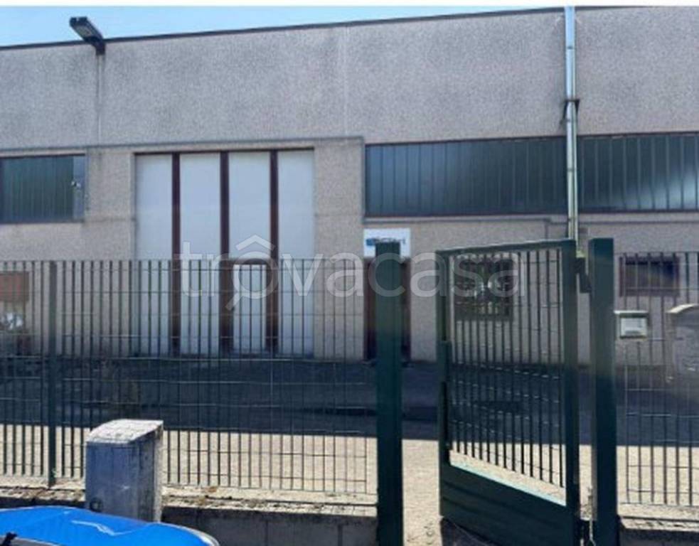 immagine annuncio 7 di 12