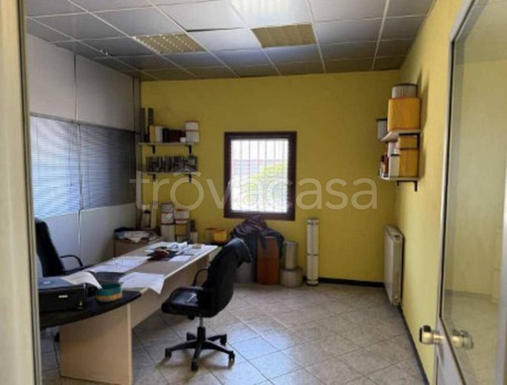 immagine annuncio 8 di 12