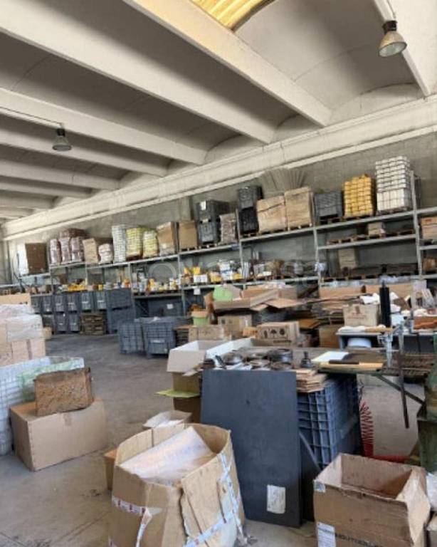 immagine annuncio 10 di 12