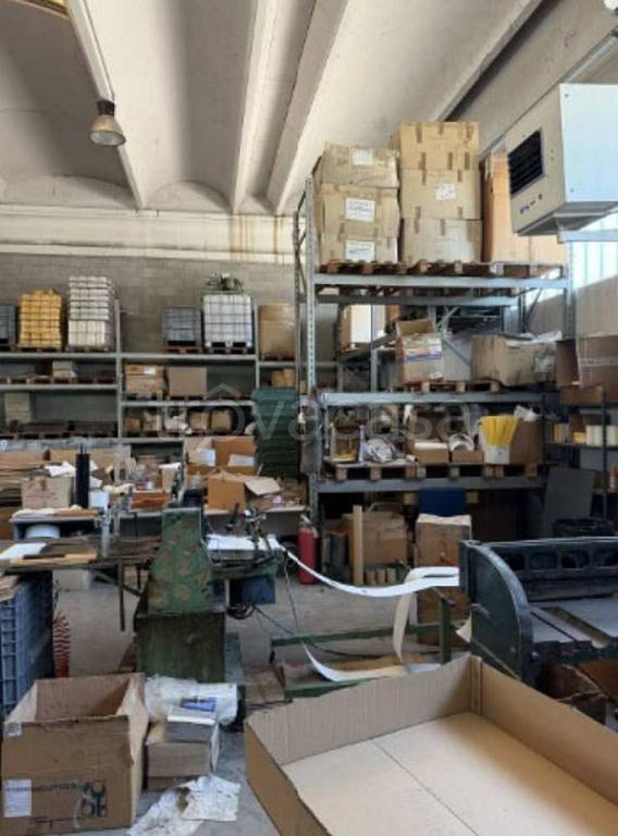 immagine annuncio 11 di 12