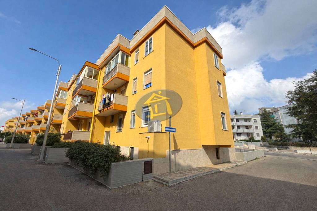 immagine annuncio 12 di 13