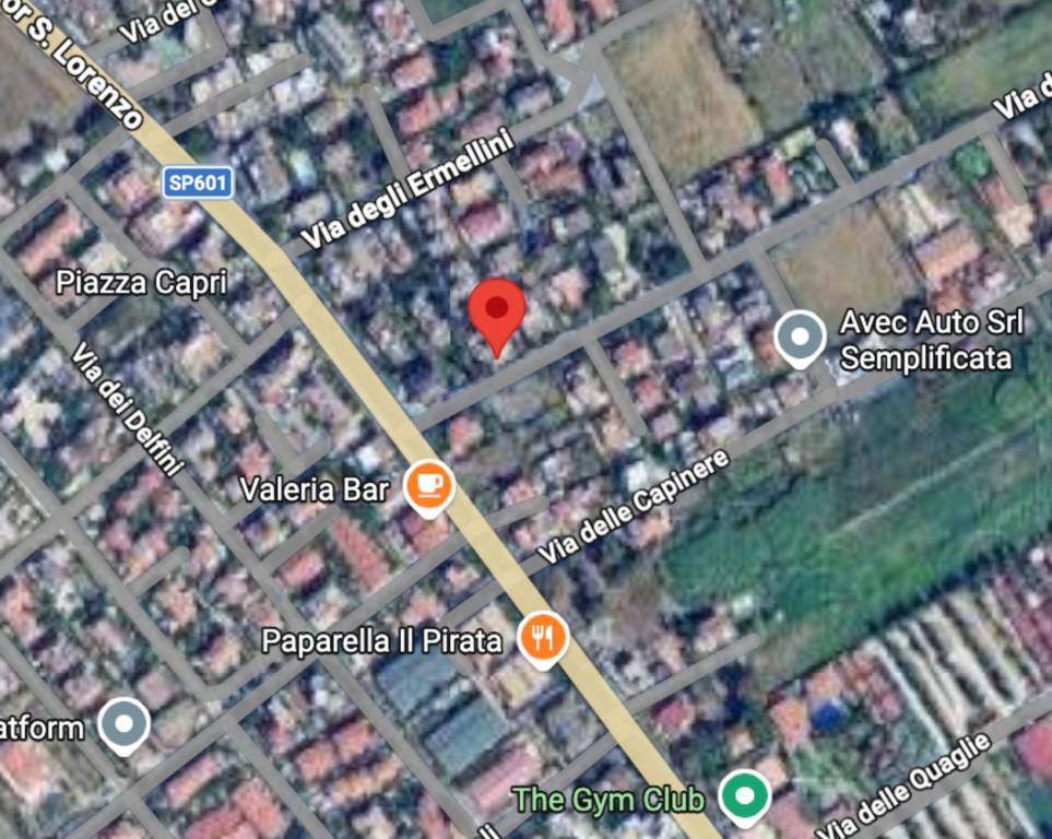 immagine annuncio 2 di 10