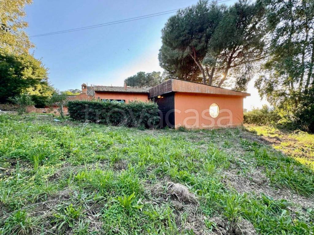 immagine annuncio 4 di 12