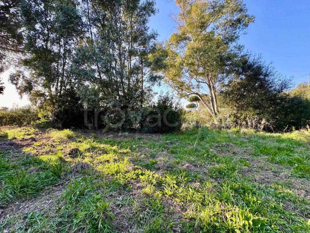 immagine annuncio 9 di 12