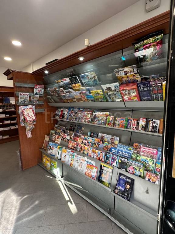 immagine annuncio 8 di 13