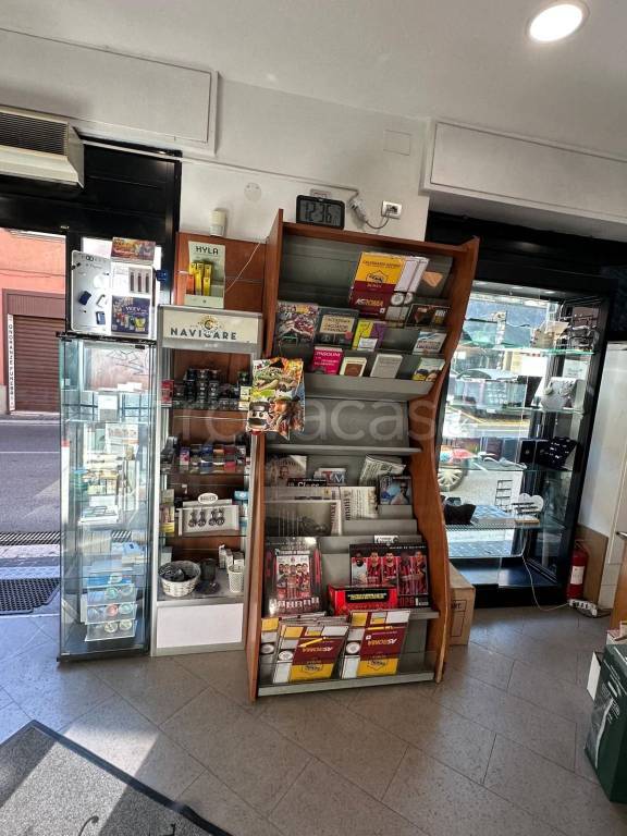 immagine annuncio 10 di 13