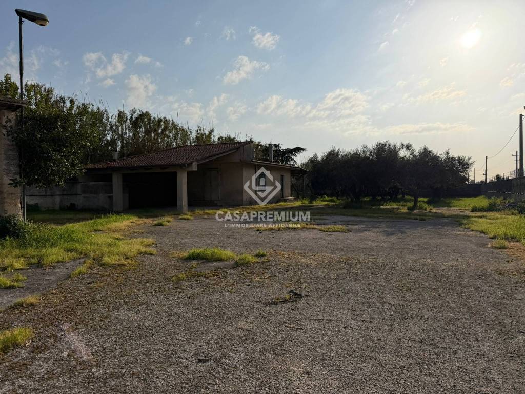 immagine annuncio 1 di 7