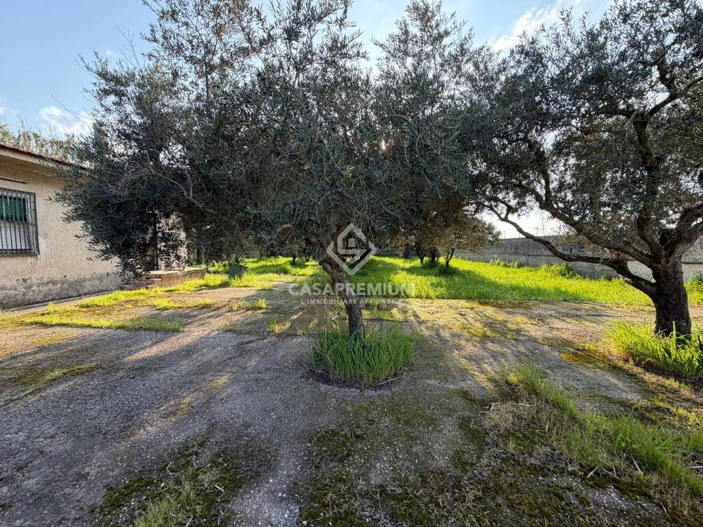 immagine annuncio 2 di 7