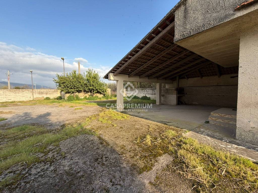 immagine annuncio 3 di 7