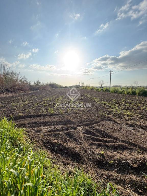 immagine annuncio 4 di 7