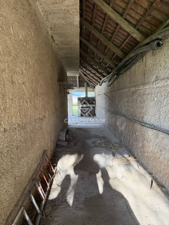 immagine annuncio 5 di 7