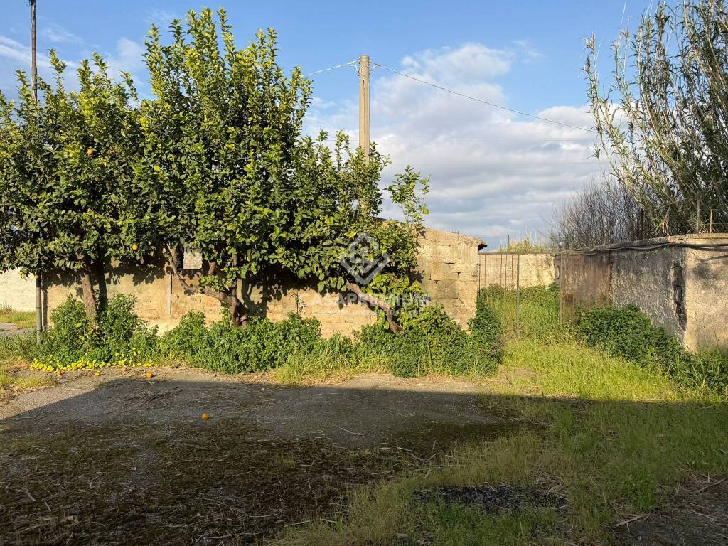 immagine annuncio 6 di 7