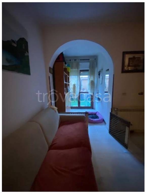 immagine annuncio 7 di 13