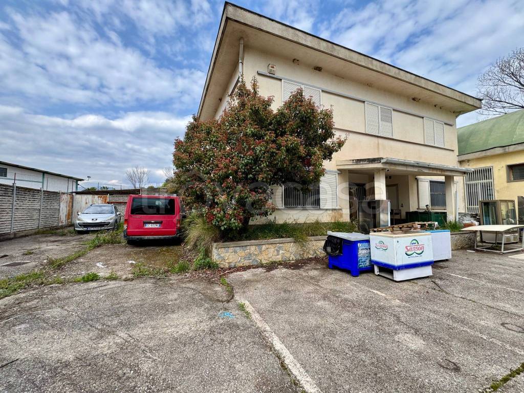 immagine annuncio 10 di 15