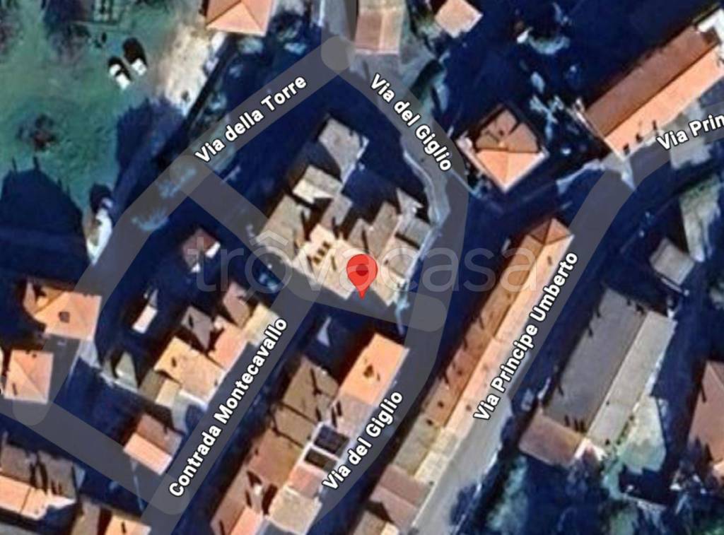 immagine annuncio 3 di 11