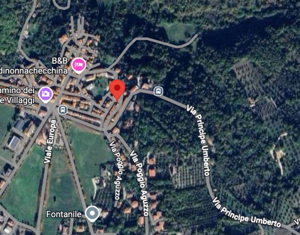 immagine annuncio 5 di 11