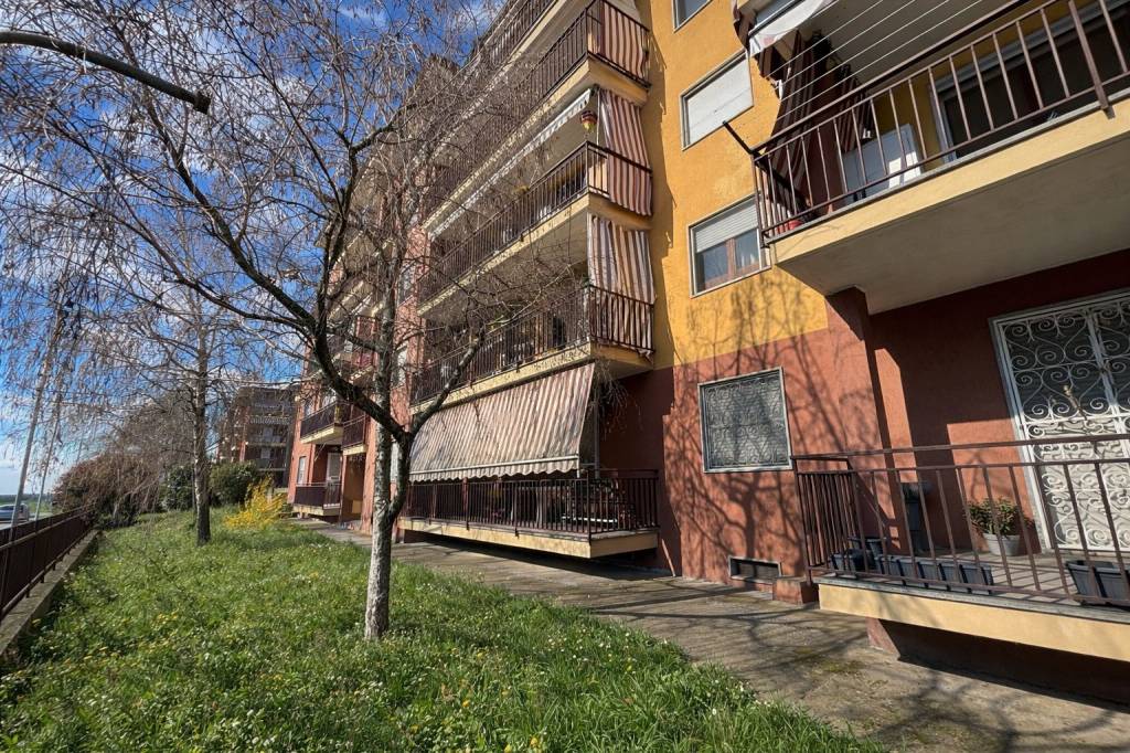 immagine annuncio 11 di 13