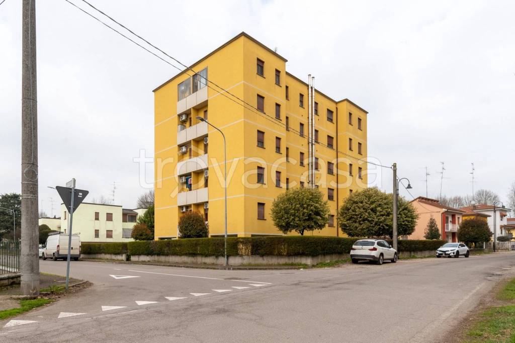 immagine annuncio 11 di 13