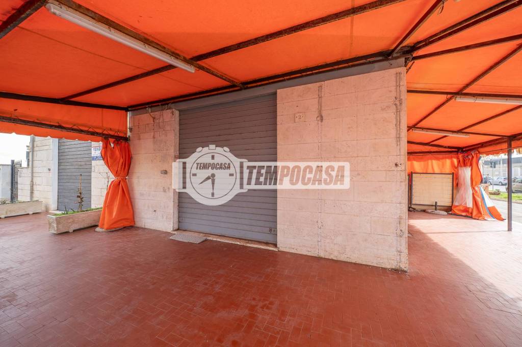 immagine annuncio 3 di 13