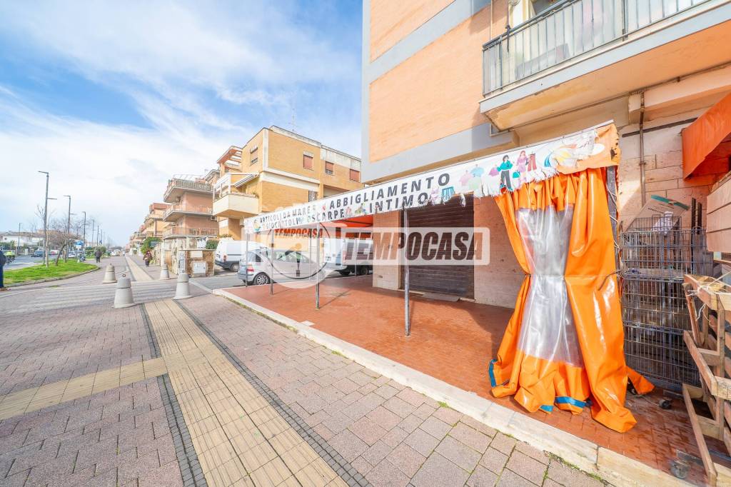 immagine annuncio 11 di 13